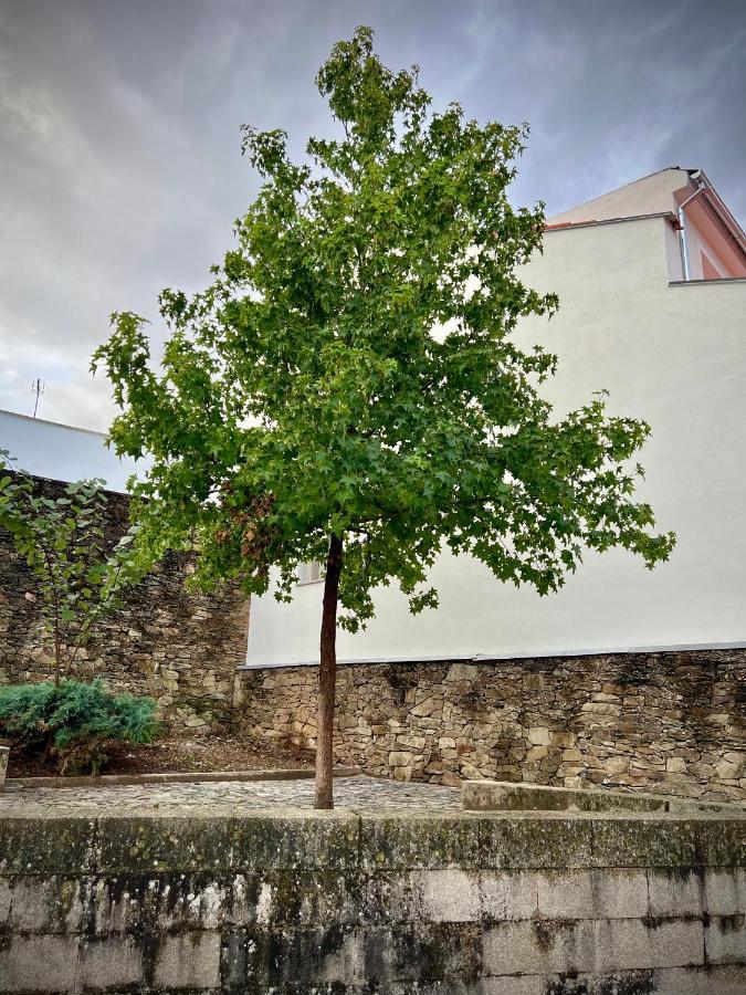 Cantinho Do Castelo Braganca Bagian luar foto